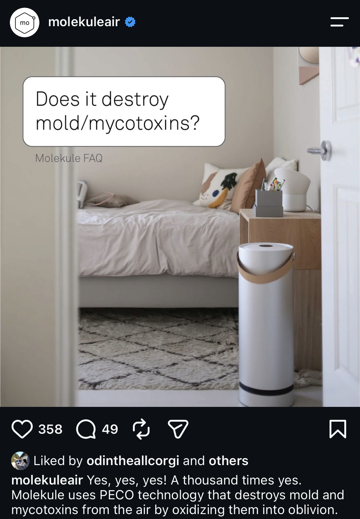 Mold and mycotoxins FAQ