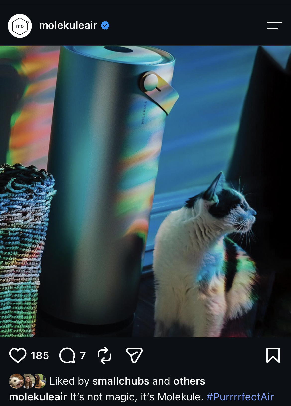 Purrrfect Air cat post